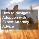How to Navigate Adoption with Expert Attorney Advice